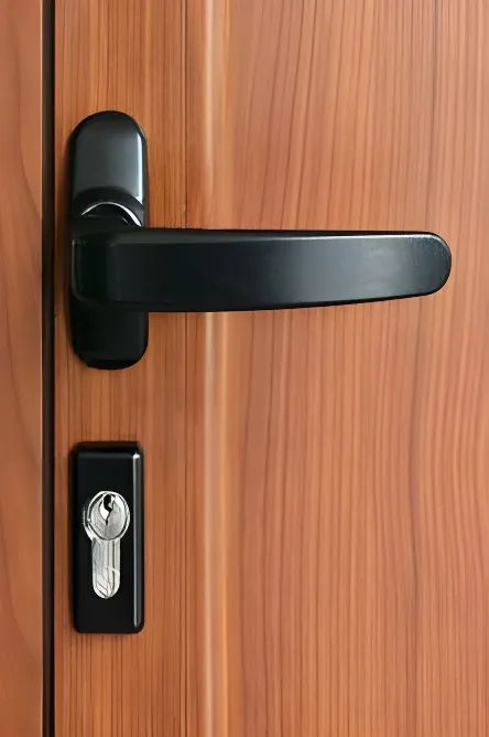 Puerta 2 paneles clásicos realzados, color simil cedro (detalle)